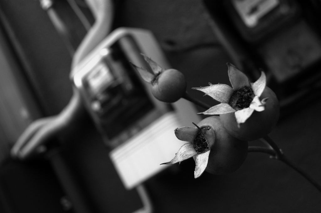 DSC_01050001