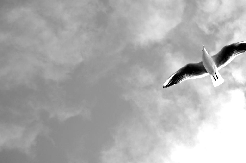 DSC_01200001