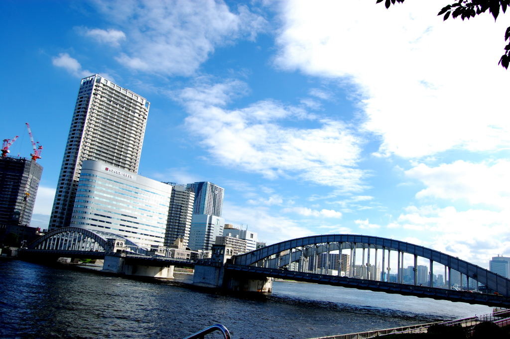 DSC_01010001_1