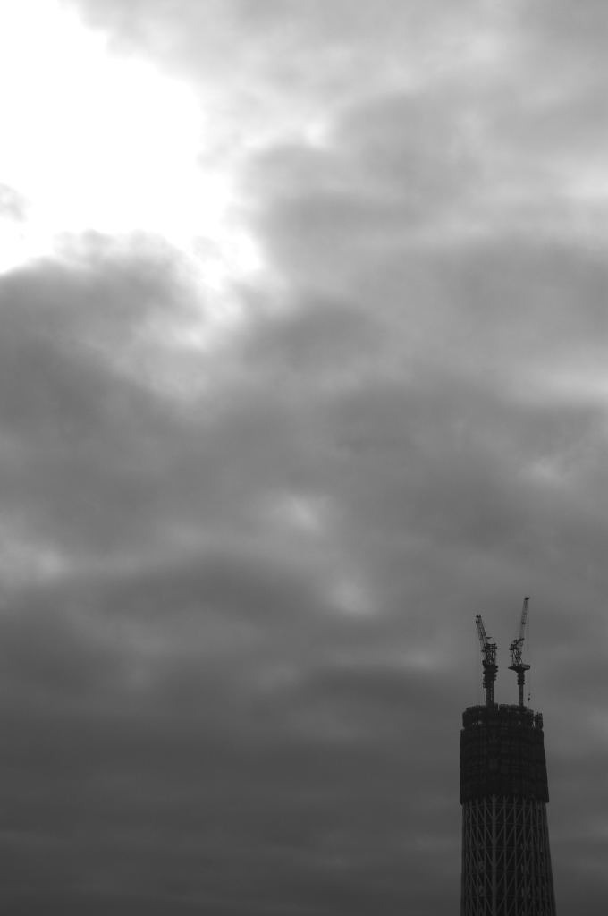 DSC_00850001