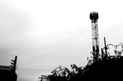 DSC_00510001