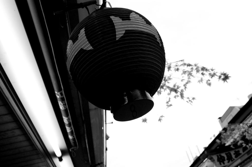 DSC_00200001