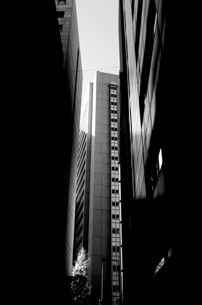 DSC_00210001