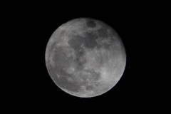 １４夜月
