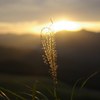 曽爾高原0003