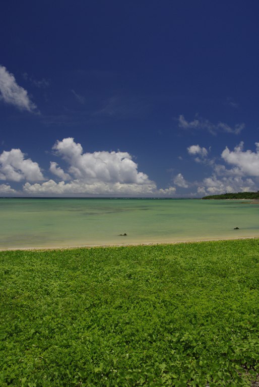 石垣島2009