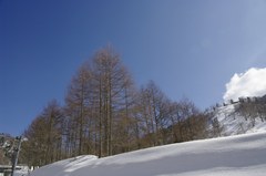 岐阜県　平湯温泉