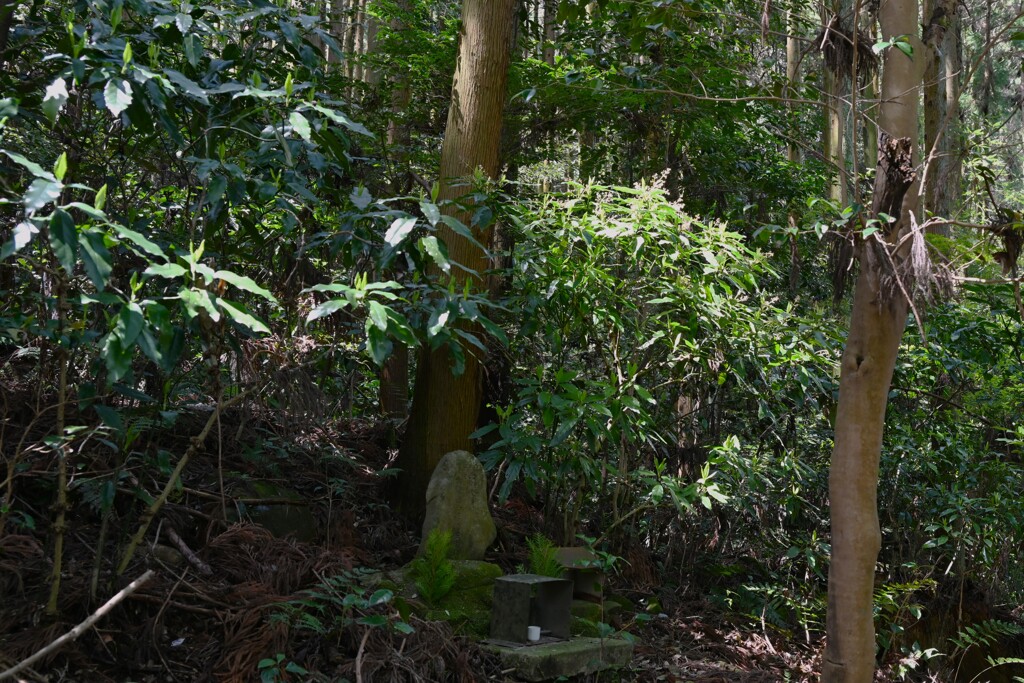 山のお寺へ・・・②