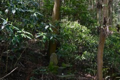 山のお寺へ・・・②