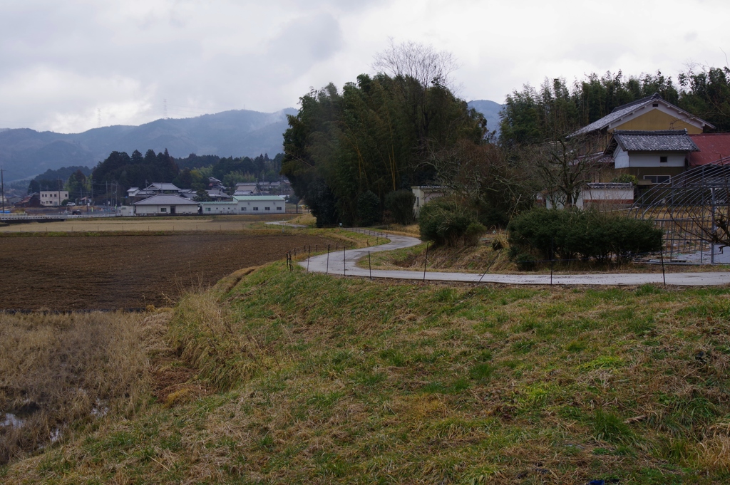 冬の田舎道・・・①