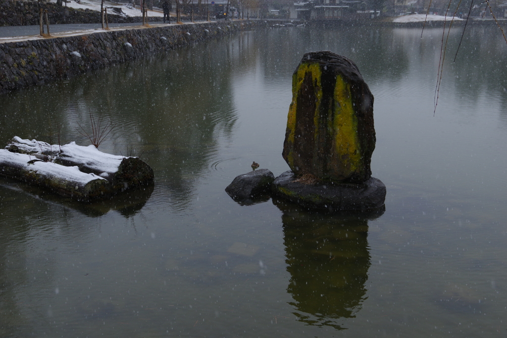 奈良町・雪②