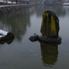 奈良町・雪②