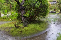 雨の日・・・③