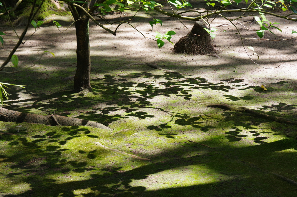 緑さやかに・・・②