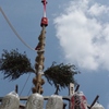 夏祭りスナップ⑤