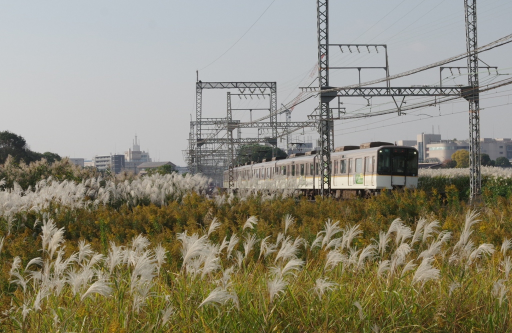 秋晴れ・・・④