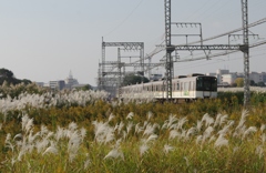 秋晴れ・・・④