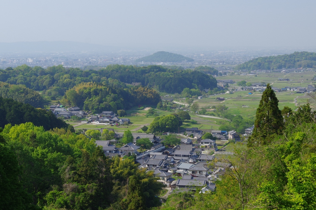 明日香点景①
