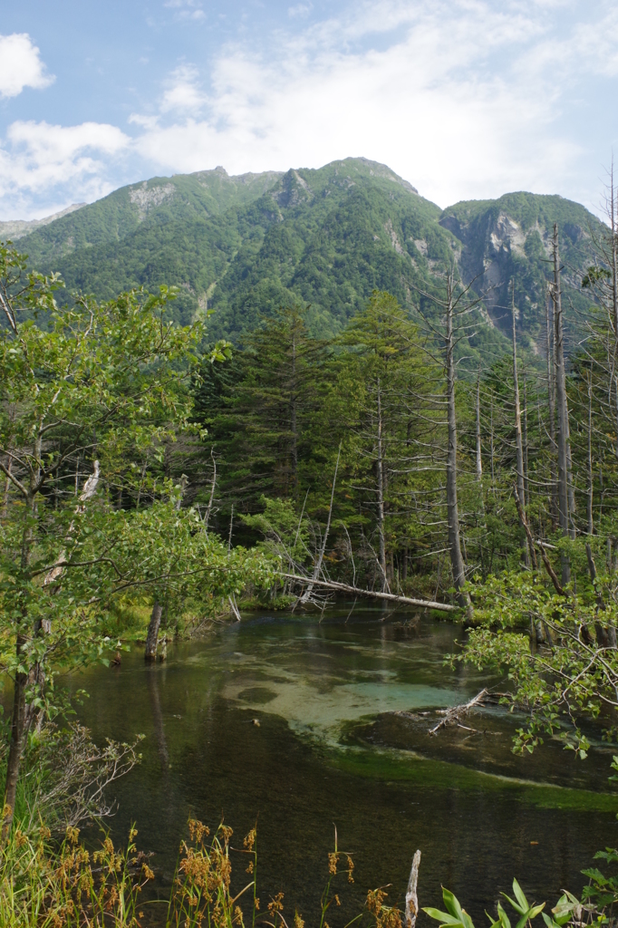 山の静けさ。　