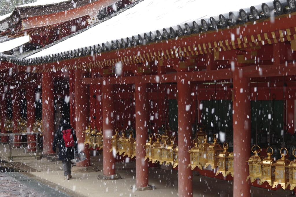 雪・春日大社にて・・・④