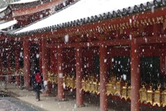 雪・春日大社にて・・・④ 雪・春日大社にて・・・④