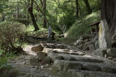長谷寺　五月・・・⑥
