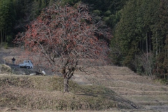 里の冬景色③