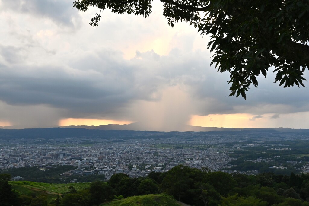 遠い雨・・・①