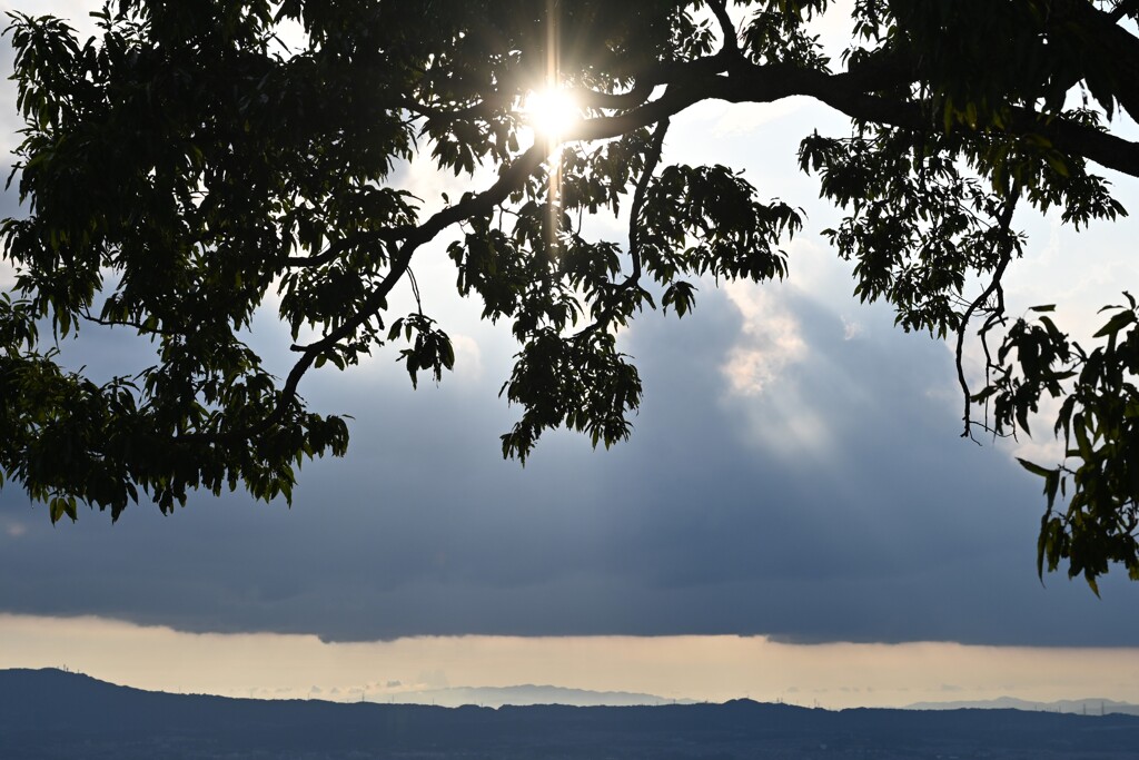 束の間の陽射し・・・①