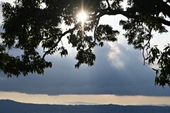 束の間の陽射し・・・①