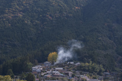 大銀杏のある村