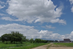 夏の空・・・平城宮跡③