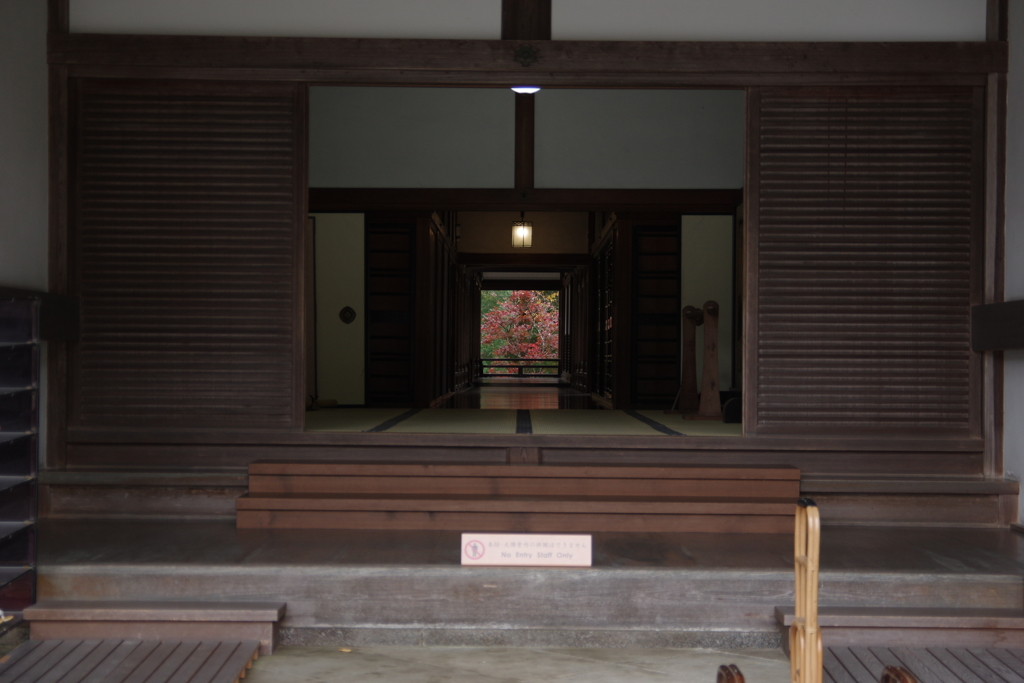 お寺らしい紅葉②