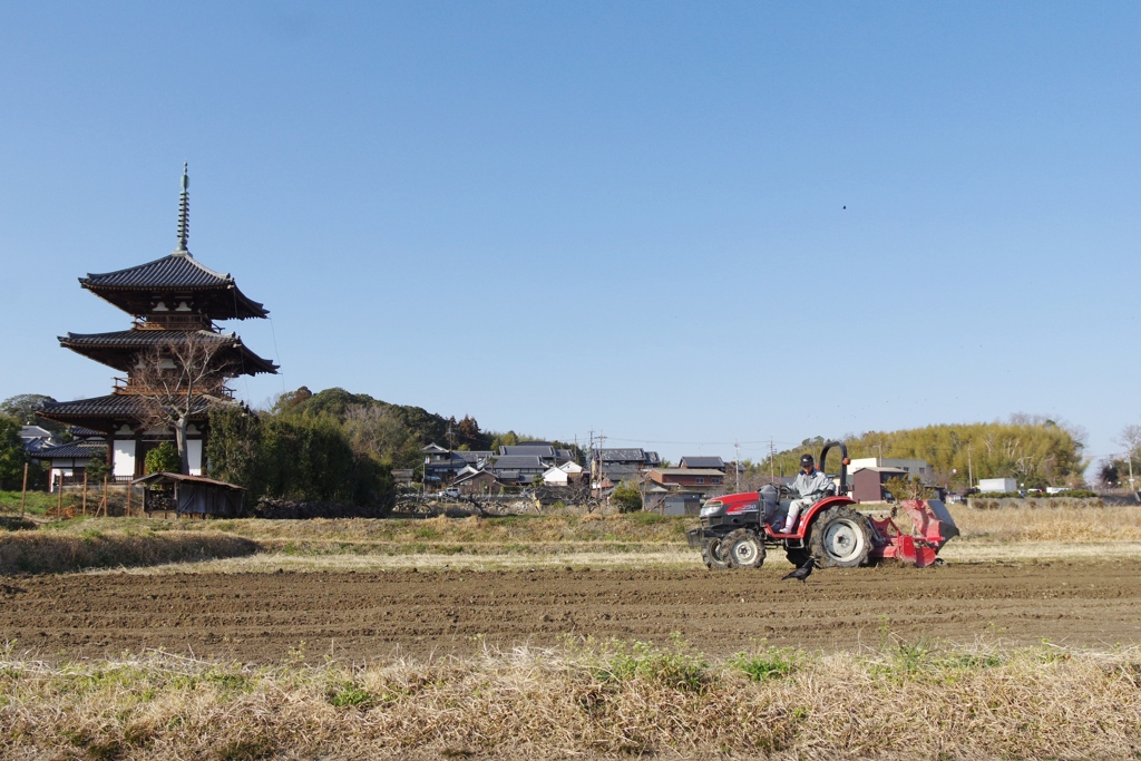 斑鳩・法起寺２月・・・③