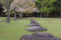 東大寺にて　4月・・・③