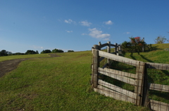 柵のある風景③