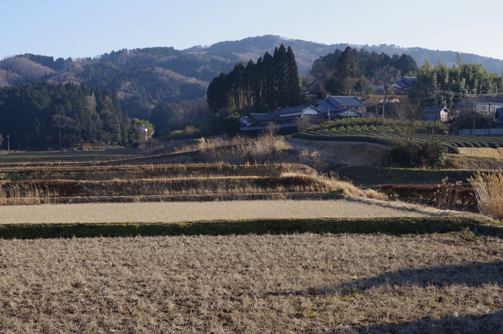 冬の田舎道・・・②