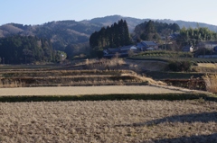 冬の田舎道・・・②