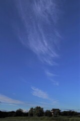 秋の予感