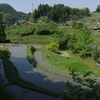 初夏……里の田んぼ②