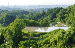 6月の田んぼ・・・諸々⑦