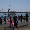 夏だ。子供張り切る。①