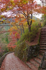 2017秋・・・吉野山⑨