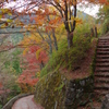 2017秋・・・吉野山⑨