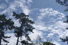 夏の空・・・興福寺南円堂②