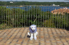 海辺のホテル・・・ライオン？