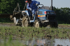 6月の田んぼ・・・諸々⑥