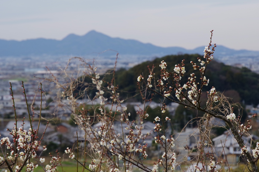 二上山遠景・・・③