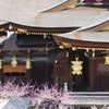 3月に観た梅・・・②