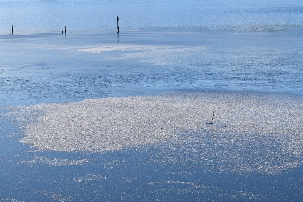 寒い朝の池・・・③